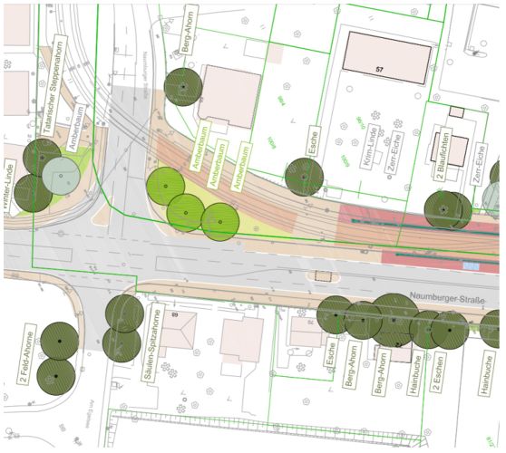 Abb. 7: Ausschnitt aus dem Entwurf zur Umsetzung des Stadtbaumkonzepts in der Naumburger Straße