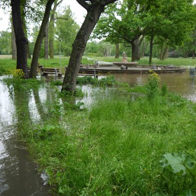 überfluteter Teil eines Parks mit Baumbestand und Sprinbrunnen